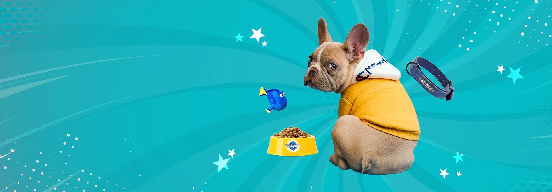 Fresh Meals  <br>for Dogs